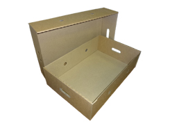 Гофролоток (мясной) 575х379х157 (дно) + 602х384х159 (крышка) мм