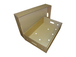 Гофролоток (мясной) 550х371х140 (дно) + 574х376х142 (крышка) мм