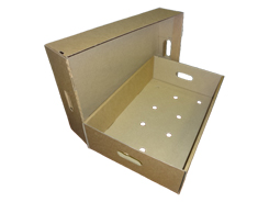 Гофролоток (мясной) 545х367х139 (дно) + 571х379х143 (крышка) мм